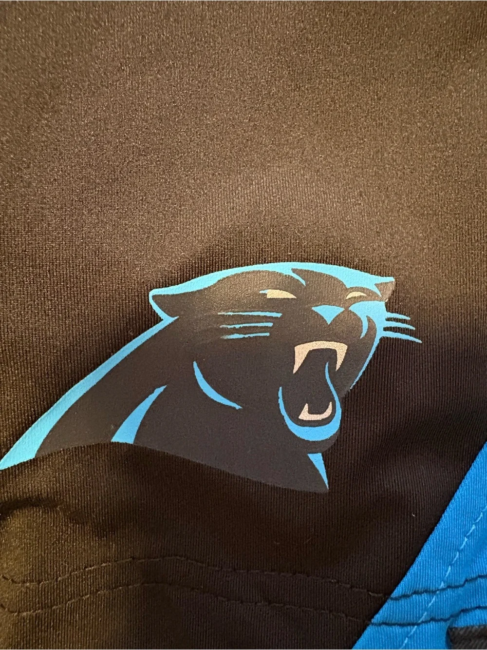 NFL Carolina Panthers Fanatics Men’s Black and Blue Athletic Shorts